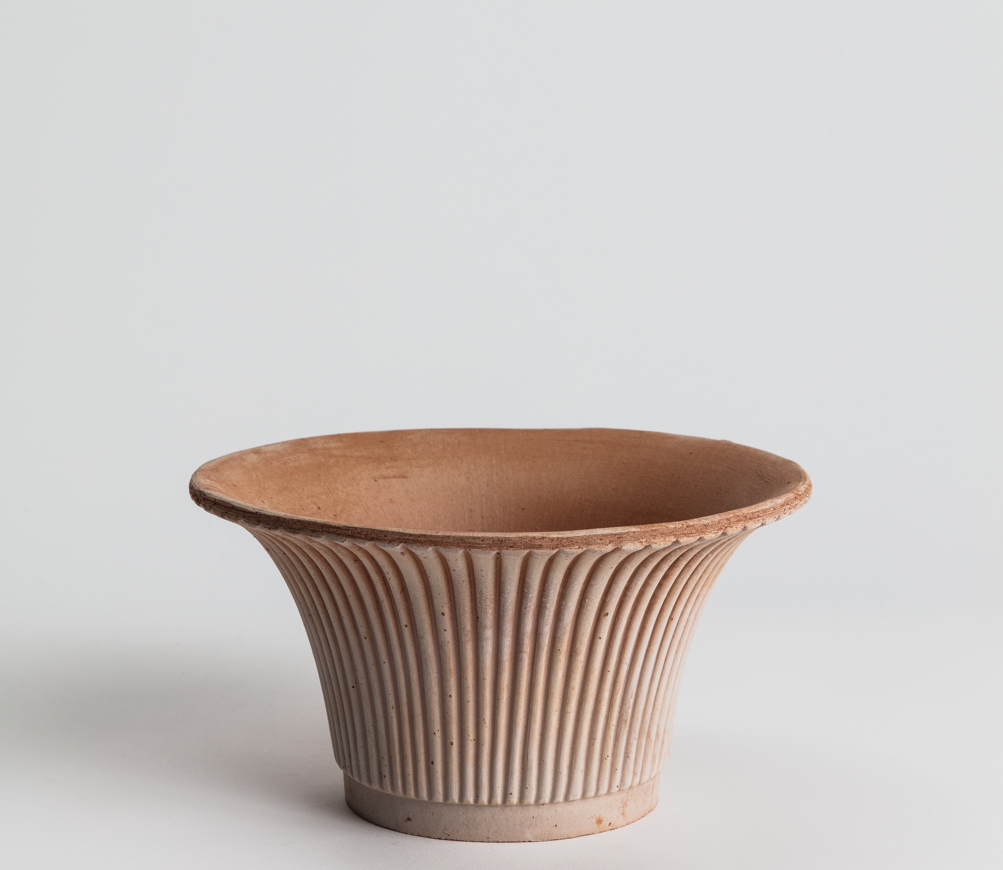 Daisy - Terracotta Pot Bergs Potter