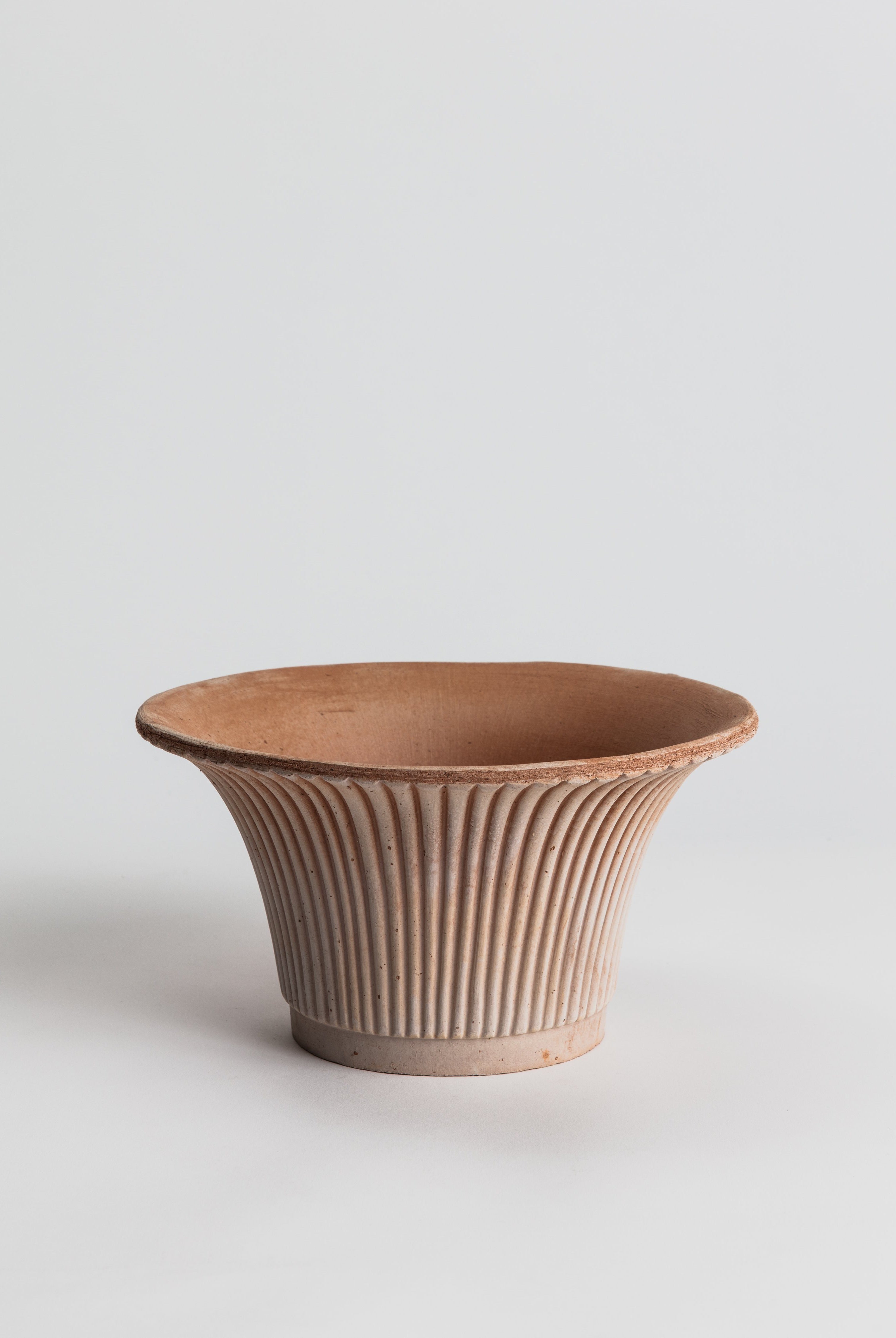 Daisy - Terracotta Pot Bergs Potter
