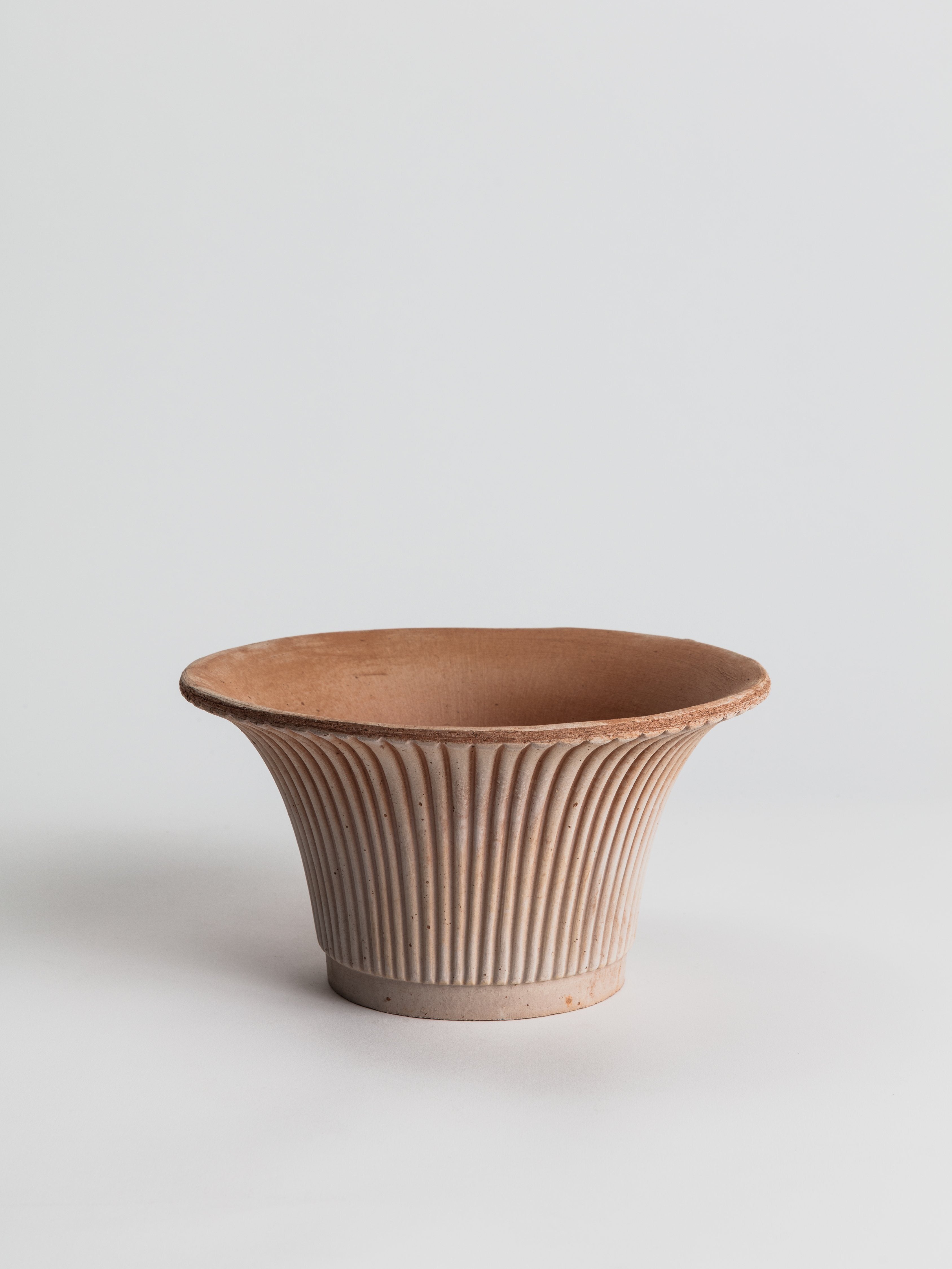 Daisy - Terracotta Pot Bergs Potter