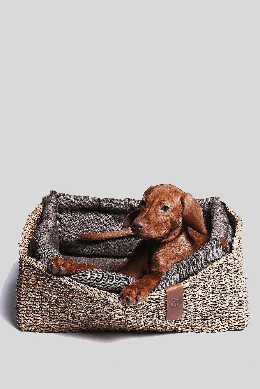Dog Bed Hideaway - Herringbone Brown Dog Bed Cloud7