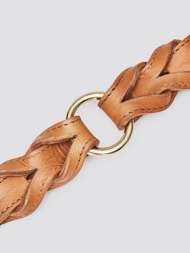 Dog Collar Hyde Park - Cognac Dog Collar Cloud7