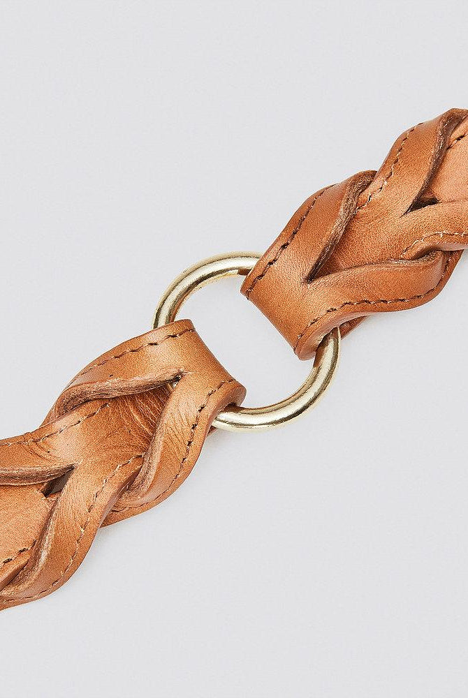 Dog Collar Hyde Park - Cognac Dog Collar Cloud7