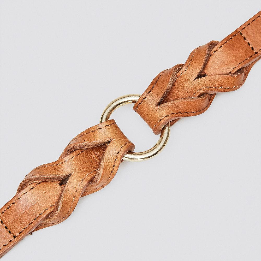 Dog Collar Hyde Park - Cognac Dog Collar Cloud7
