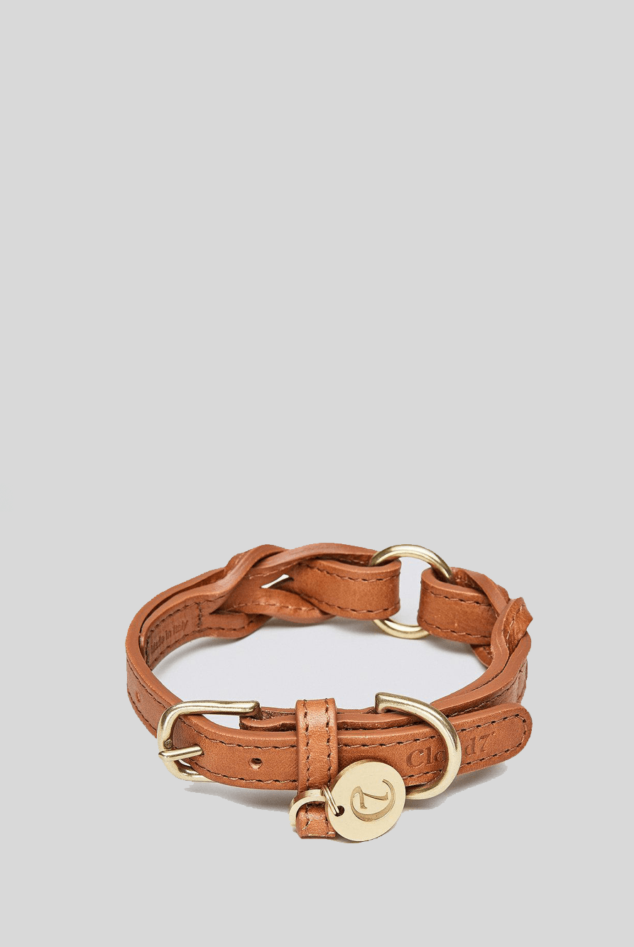 Dog Collar Hyde Park - Cognac Dog Collar Cloud7