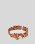 Dog Collar Hyde Park - Cognac Dog Collar Cloud7