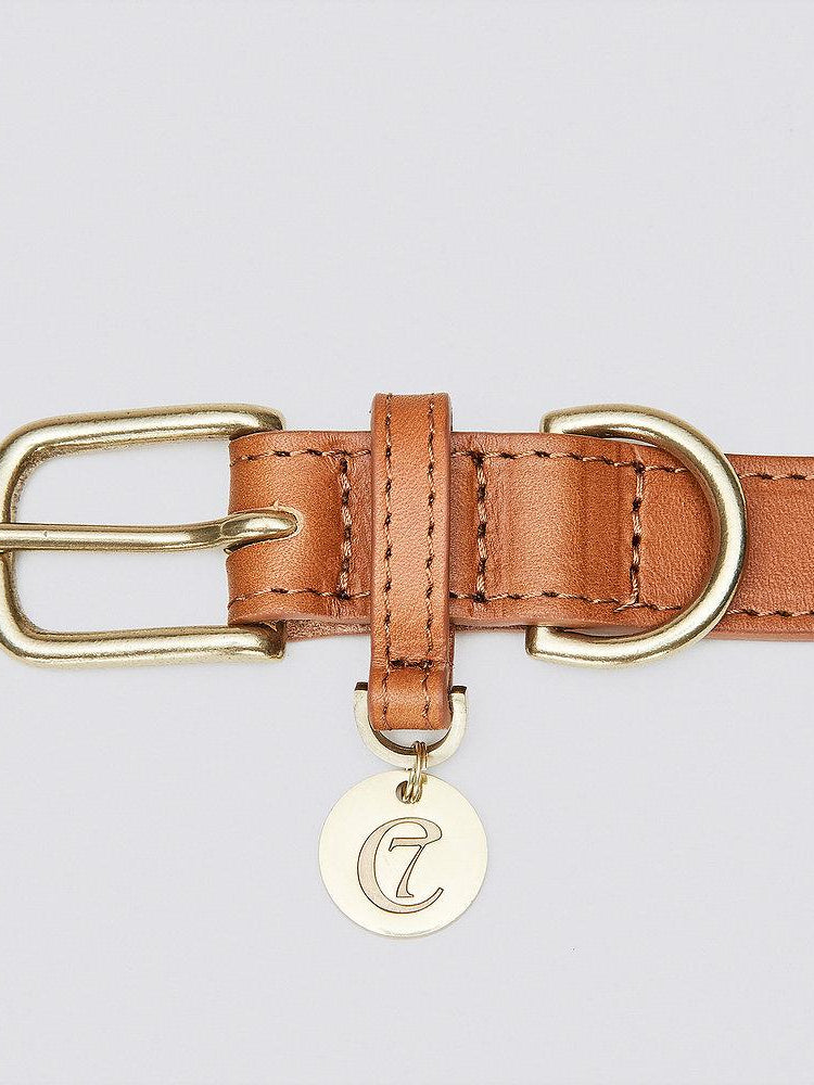 Dog Collar Hyde Park - Cognac Dog Collar Cloud7