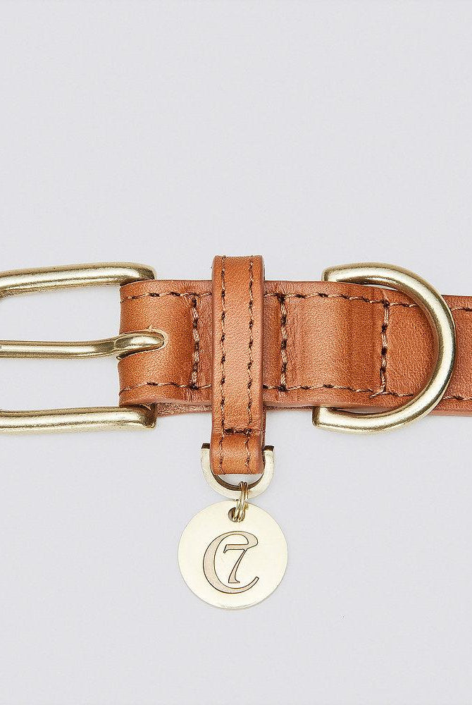 Dog Collar Hyde Park - Cognac Dog Collar Cloud7
