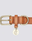 Dog Collar Hyde Park - Cognac Dog Collar Cloud7 