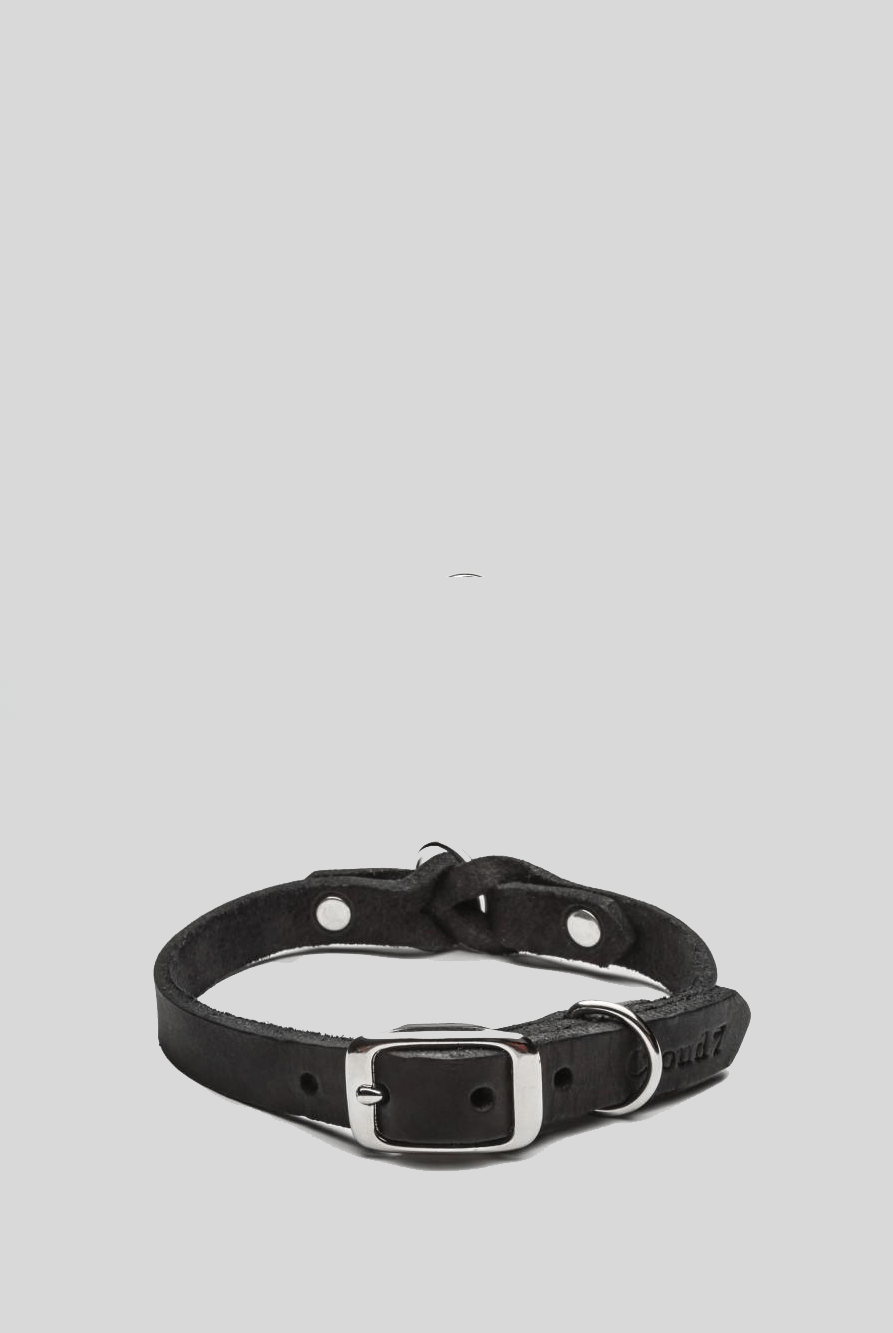Dog Collar Riverside Park - Black Dog Collar Cloud7