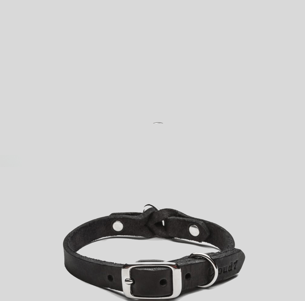 Dog Collar Riverside Park - Black Dog Collar Cloud7