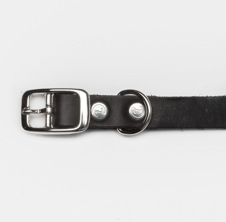 Dog Collar Riverside Park - Black Dog Collar Cloud7