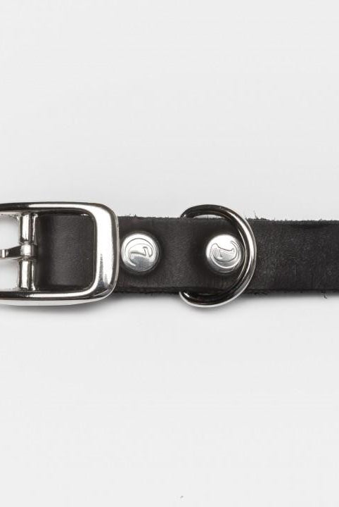 Dog Collar Riverside Park - Black Dog Collar Cloud7