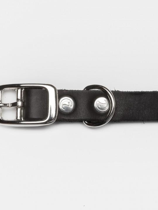 Dog Collar Riverside Park - Black Dog Collar Cloud7