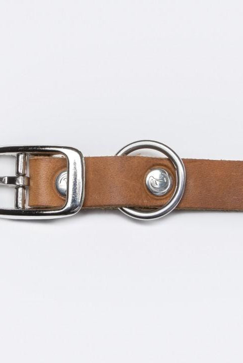Dog Collar Riverside Park Camel Dog Collar Cloud7