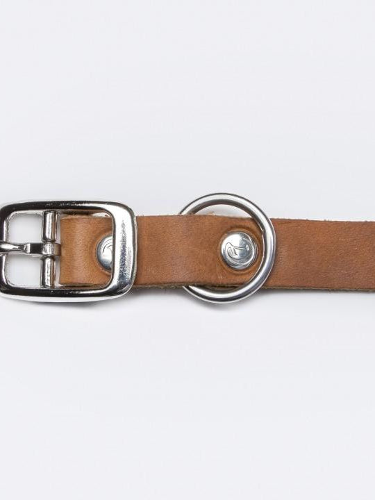 Dog Collar Riverside Park Camel Dog Collar Cloud7