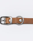 Dog Collar Riverside Park Camel Dog Collar Cloud7