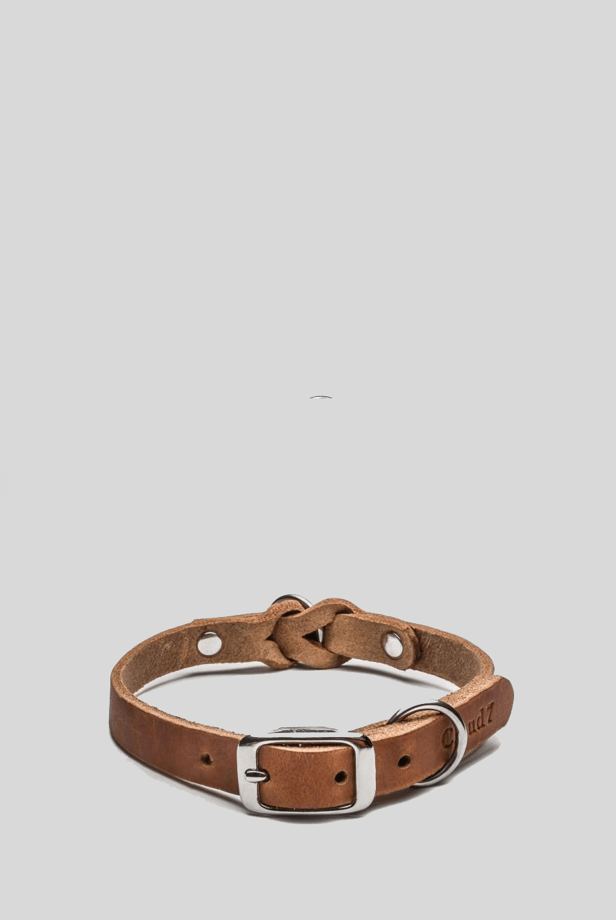 Dog Collar Riverside Park Camel Dog Collar Cloud7