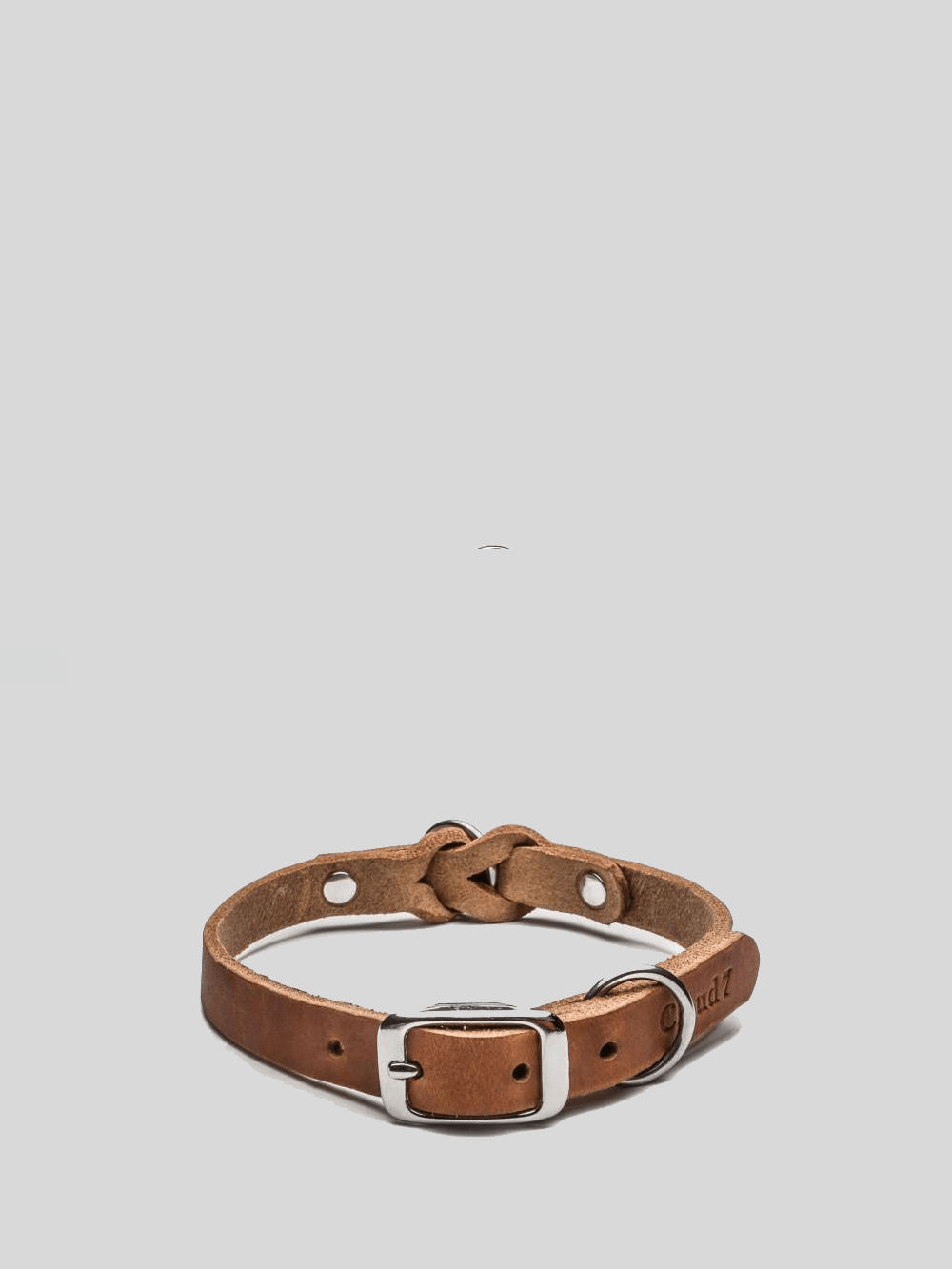 Dog Collar Riverside Park Camel Dog Collar Cloud7
