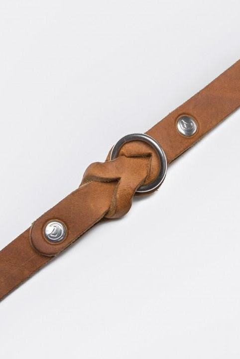 Dog Collar Riverside Park Camel Dog Collar Cloud7