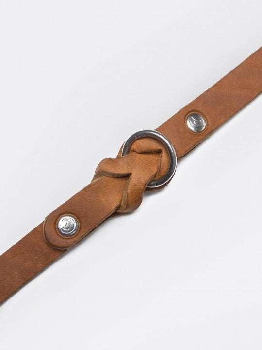 Dog Collar Riverside Park Camel Dog Collar Cloud7