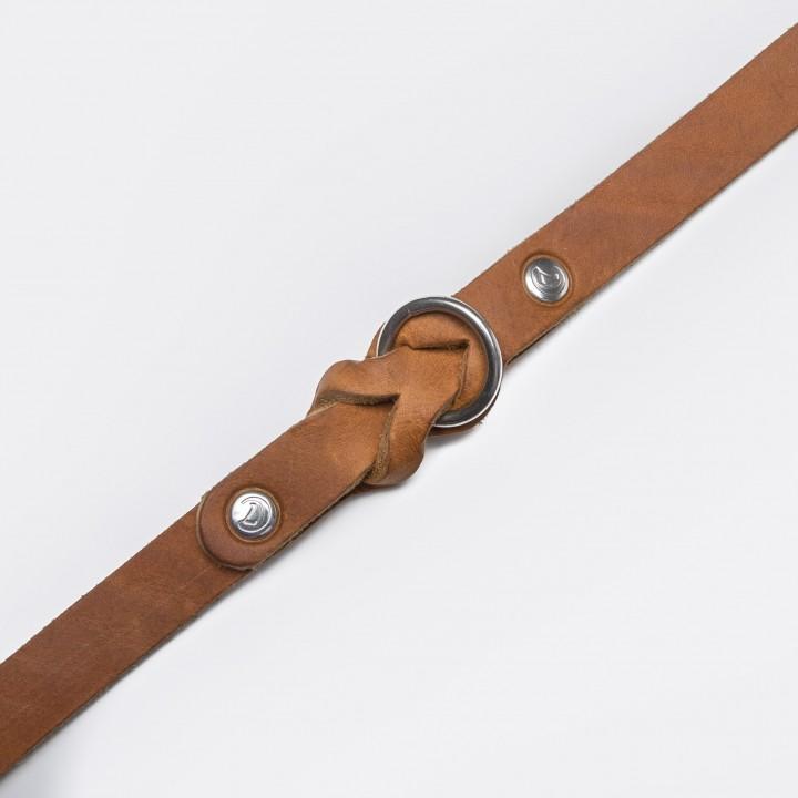 Dog Collar Riverside Park Camel Dog Collar Cloud7