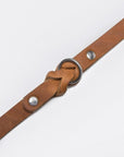 Dog Collar Riverside Park Camel Dog Collar Cloud7