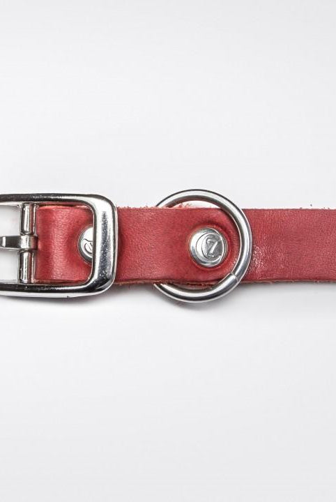 Dog Collar Riverside Park - Merlot Dog Collar Cloud7