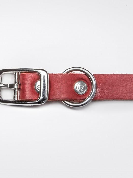 Dog Collar Riverside Park - Merlot Dog Collar Cloud7