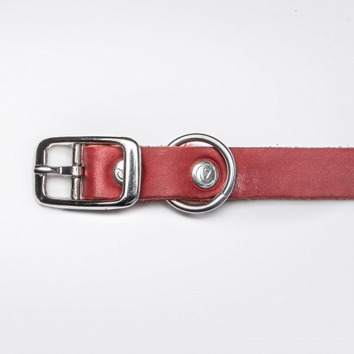 Dog Collar Riverside Park - Merlot Dog Collar Cloud7