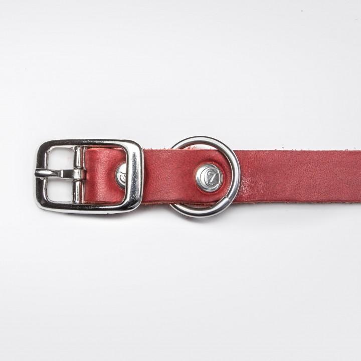 Dog Collar Riverside Park - Merlot Dog Collar Cloud7 