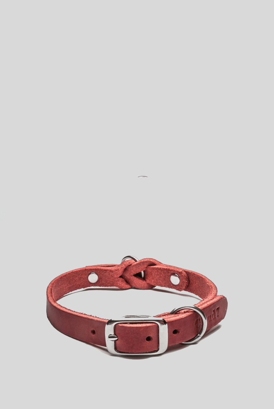 Dog Collar Riverside Park - Merlot Dog Collar Cloud7