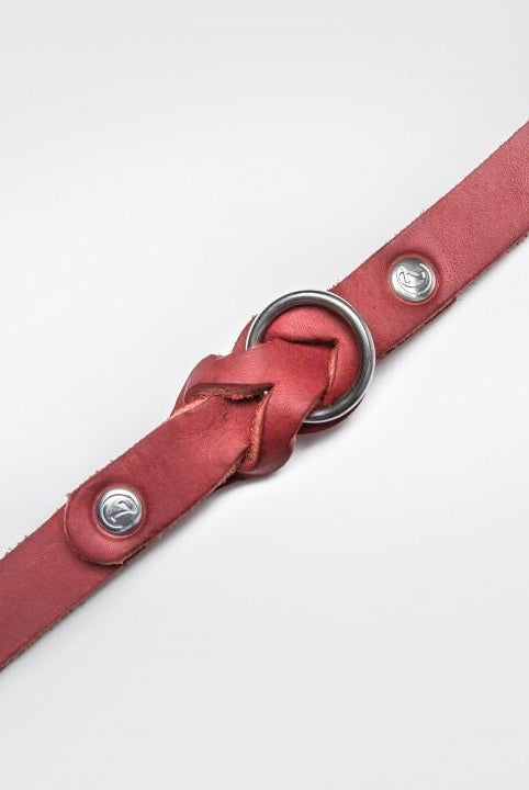 Dog Collar Riverside Park - Merlot Dog Collar Cloud7