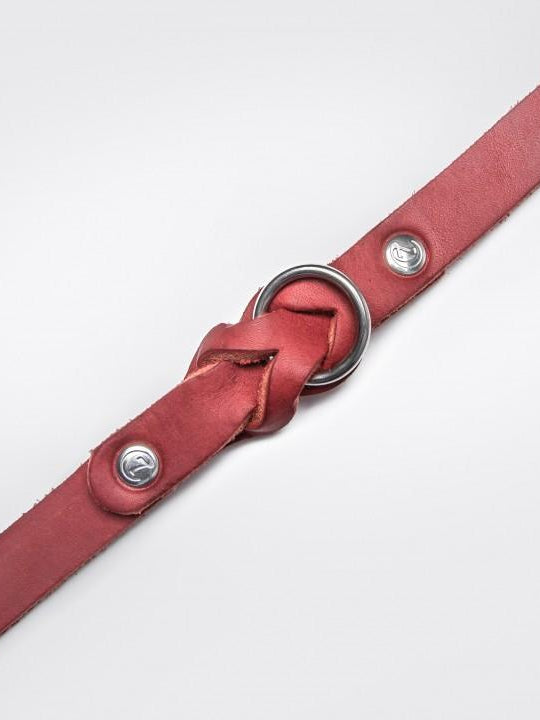 Dog Collar Riverside Park - Merlot Dog Collar Cloud7