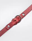 Dog Collar Riverside Park - Merlot Dog Collar Cloud7