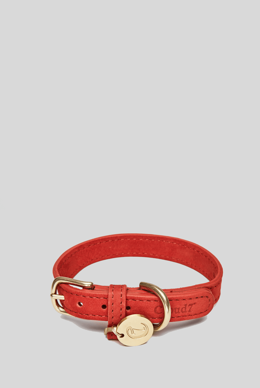 Dog Collar Tiergarten Park - Cherry Red Dog Collar Cloud7