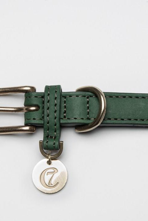 Dog Collar Tiergarten Park - Green Dog Collar Cloud7