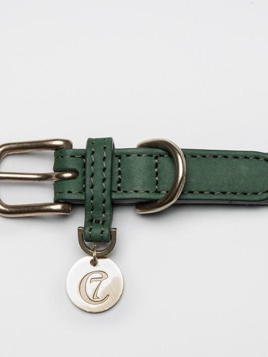 Dog Collar Tiergarten Park - Green Dog Collar Cloud7