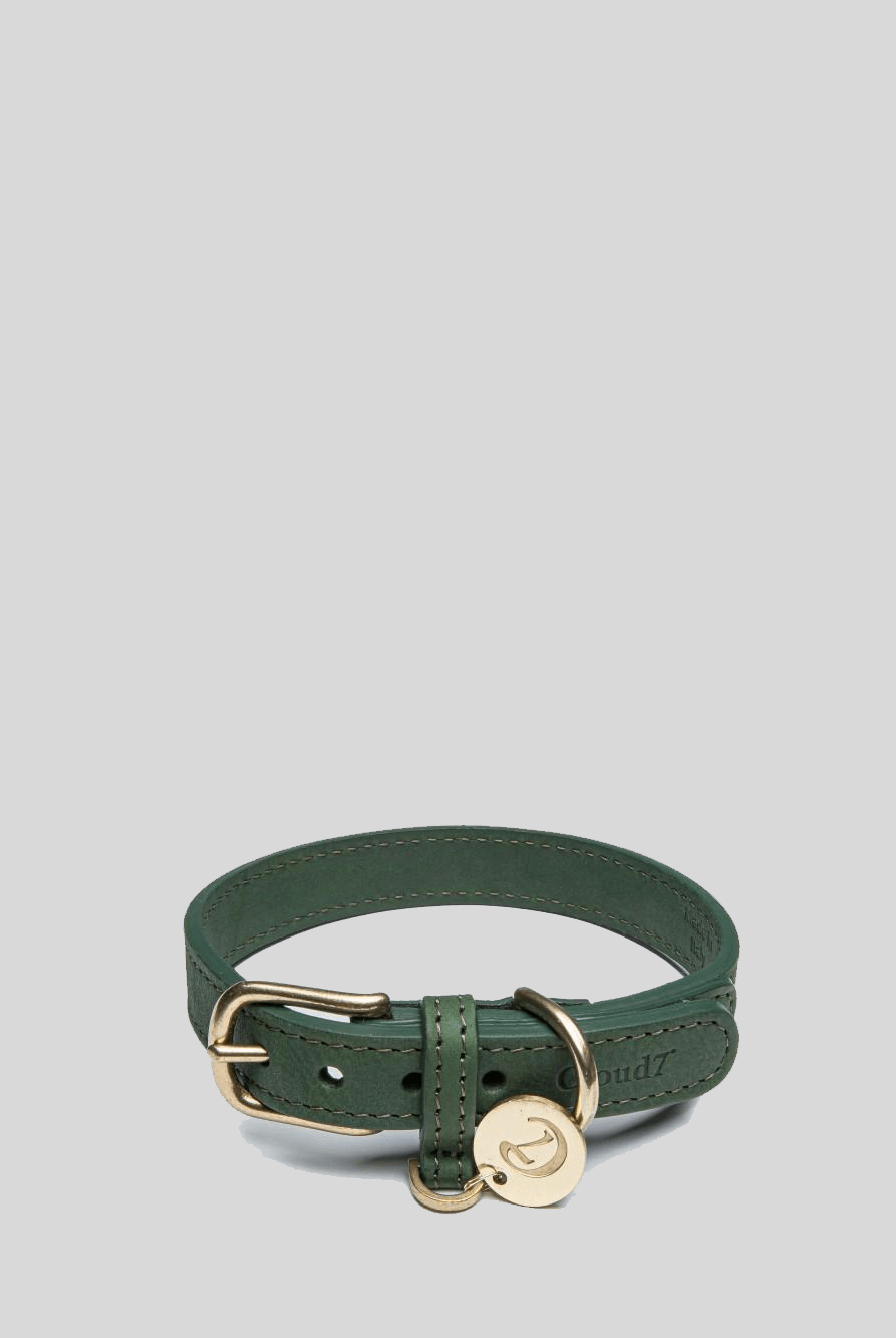 Dog Collar Tiergarten Park - Green Dog Collar Cloud7