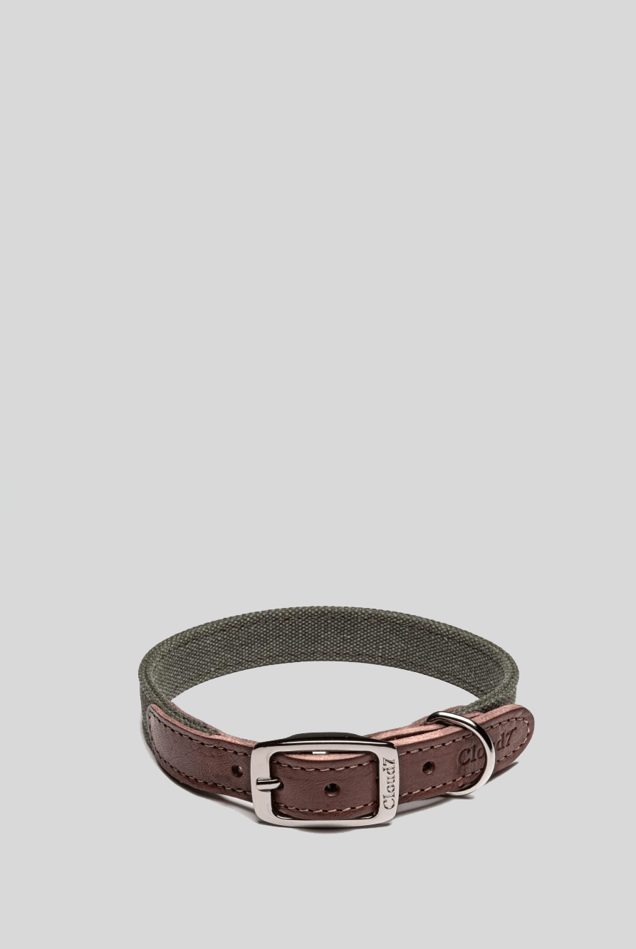 Dog Collar Tivoli Olive Dog Collar Cloud7