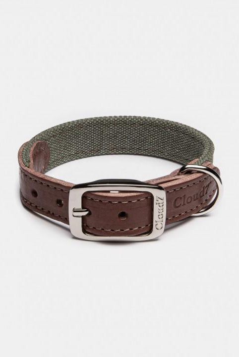 Dog Collar Tivoli Olive Dog Collar Cloud7