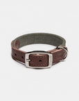 Dog Collar Tivoli Olive Dog Collar Cloud7