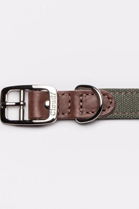 Dog Collar Tivoli Olive Dog Collar Cloud7