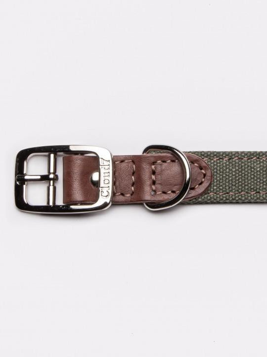 Dog Collar Tivoli Olive Dog Collar Cloud7