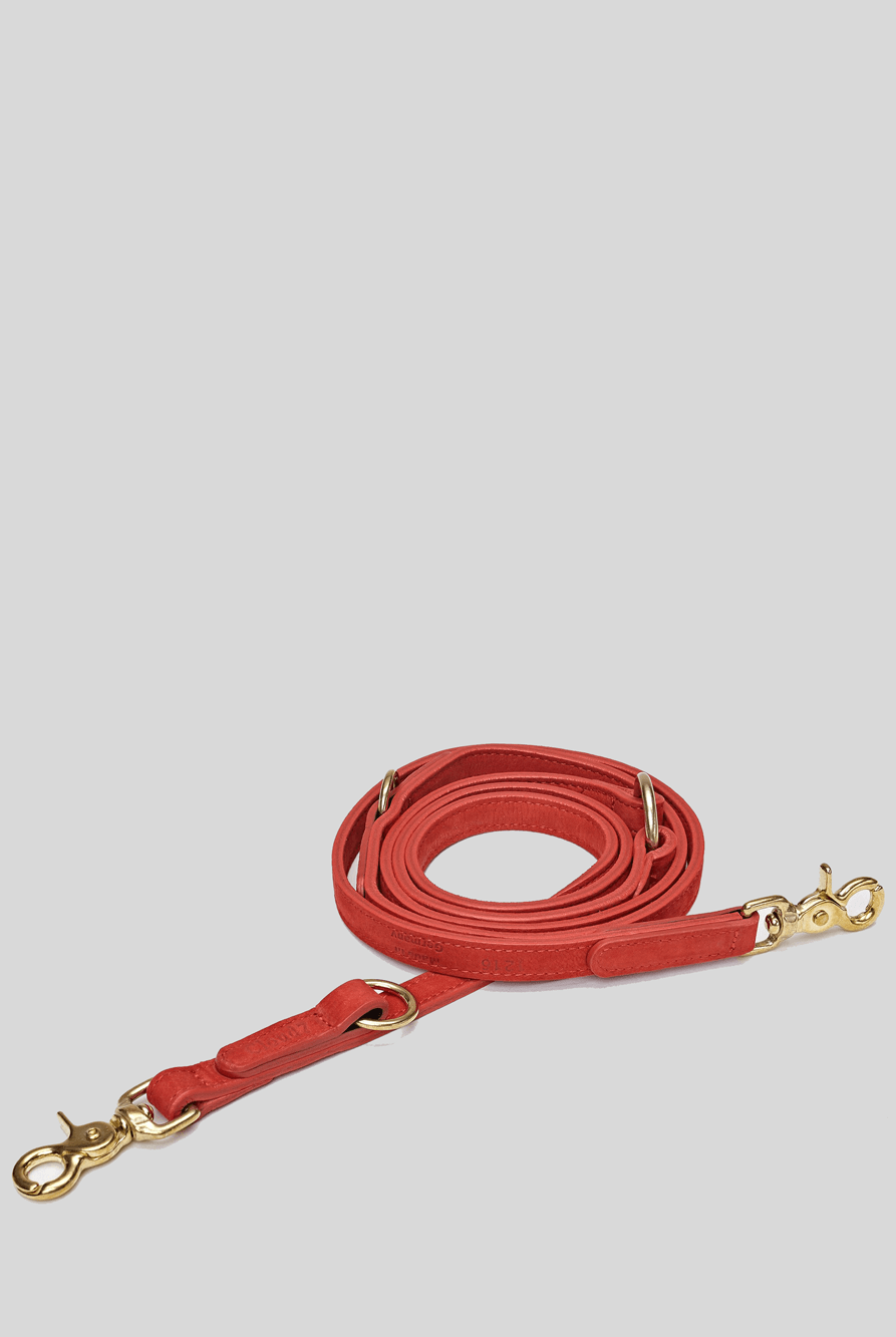 Dog Leash - Cherry Red Dog Leash Cloud7