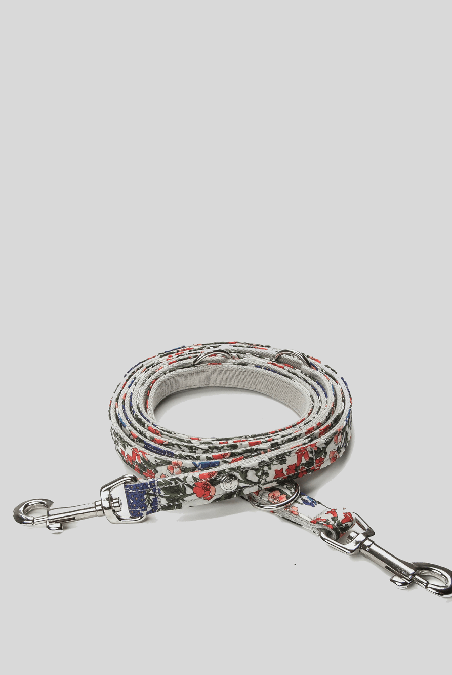 Dog Leash - Cornfield Dog Leash Cloud7