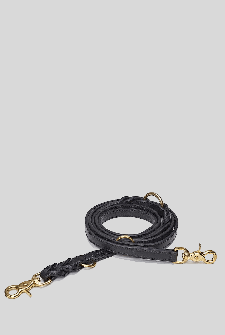 Dog Leash - Hyde Park Black Dog Leash Cloud7