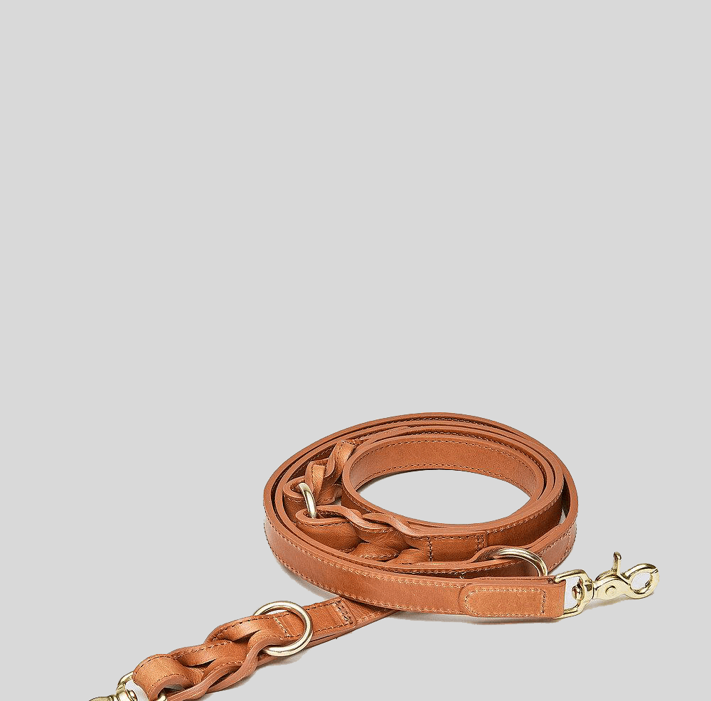Dog Leash - Hyde Park Cognac Dog Leash Cloud7