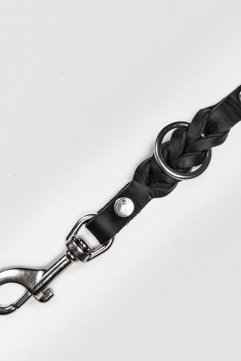 Dog Leash - Riverside Park Black Dog Leash Cloud7