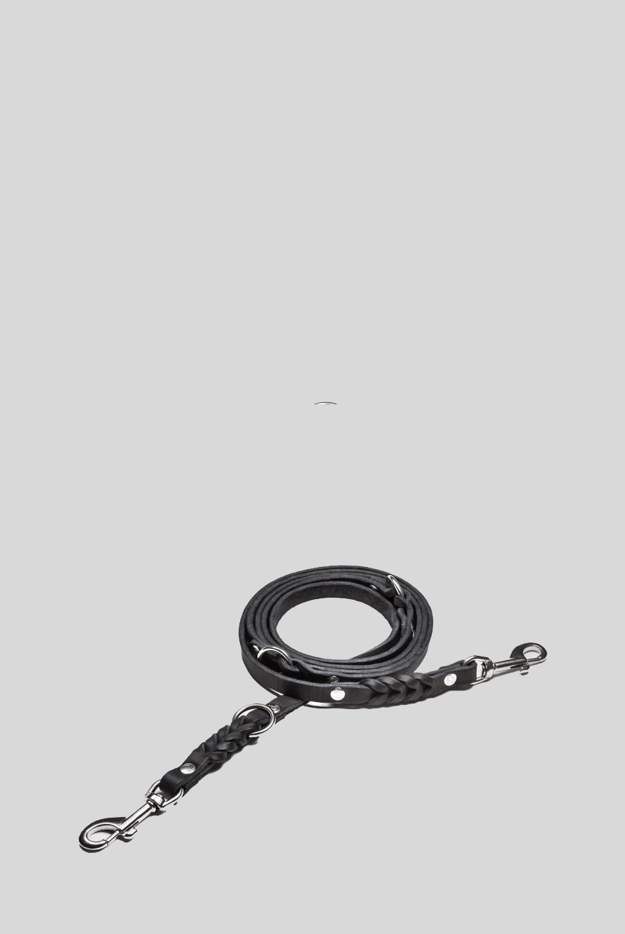 Dog Leash - Riverside Park Black Dog Leash Cloud7