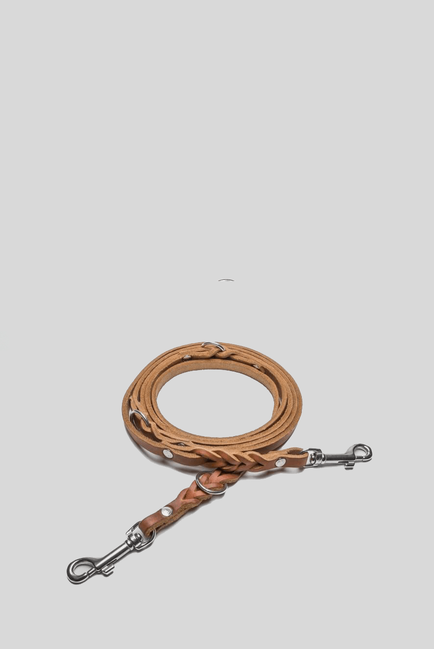Dog Leash - Riverside Park Camel Dog Leash Cloud7
